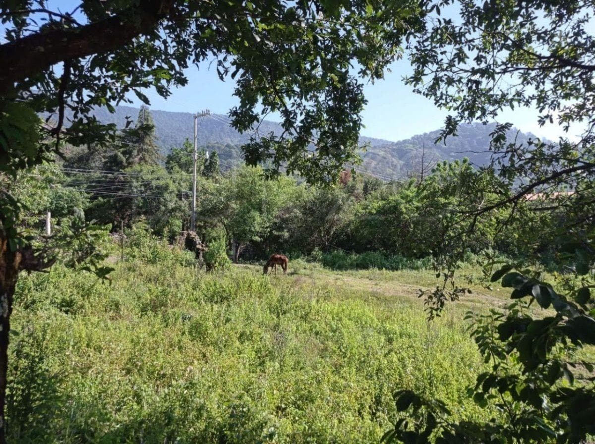 Land for Sale in Tepoztlán