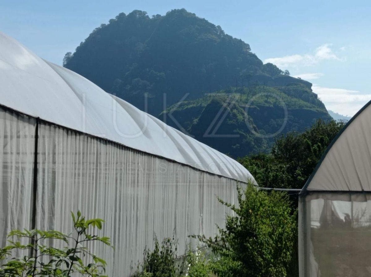 Land for Sale in Tepoztlán