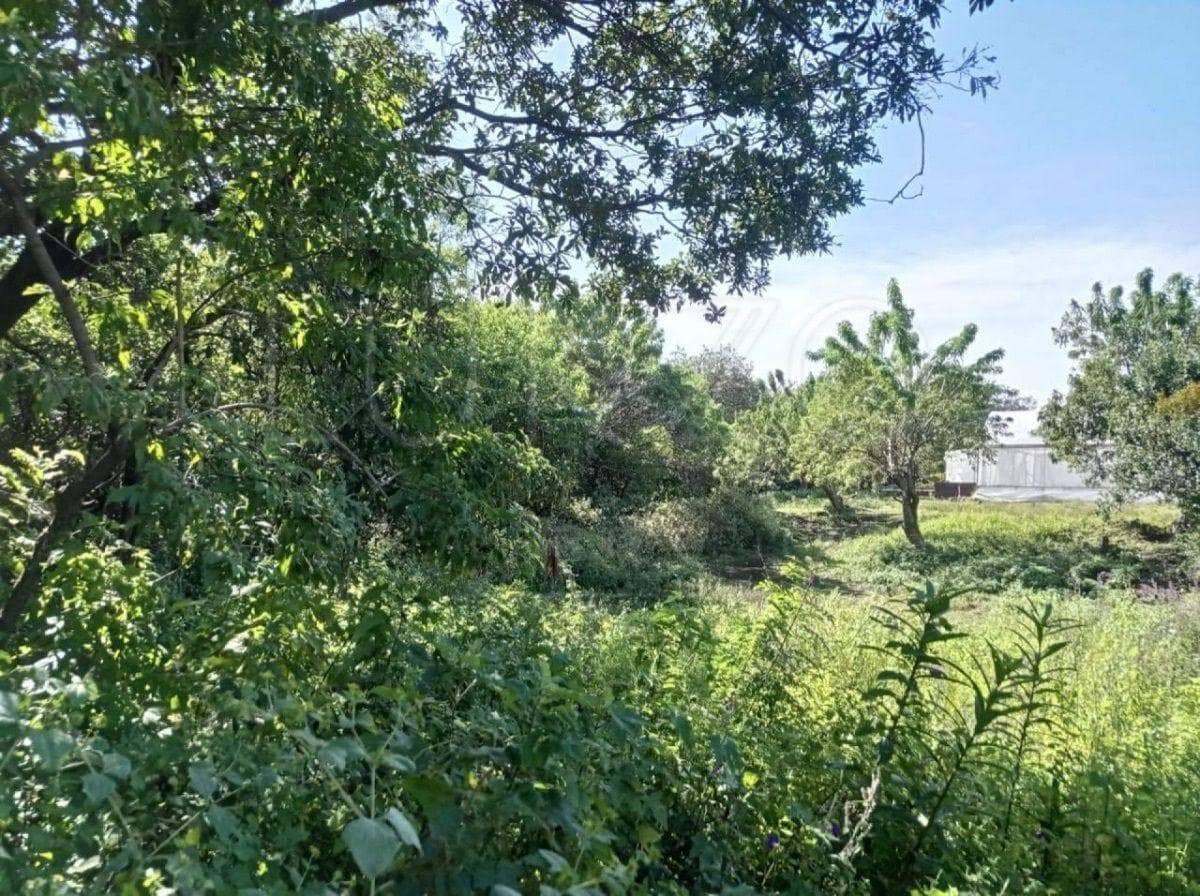 Land for Sale in Tepoztlán