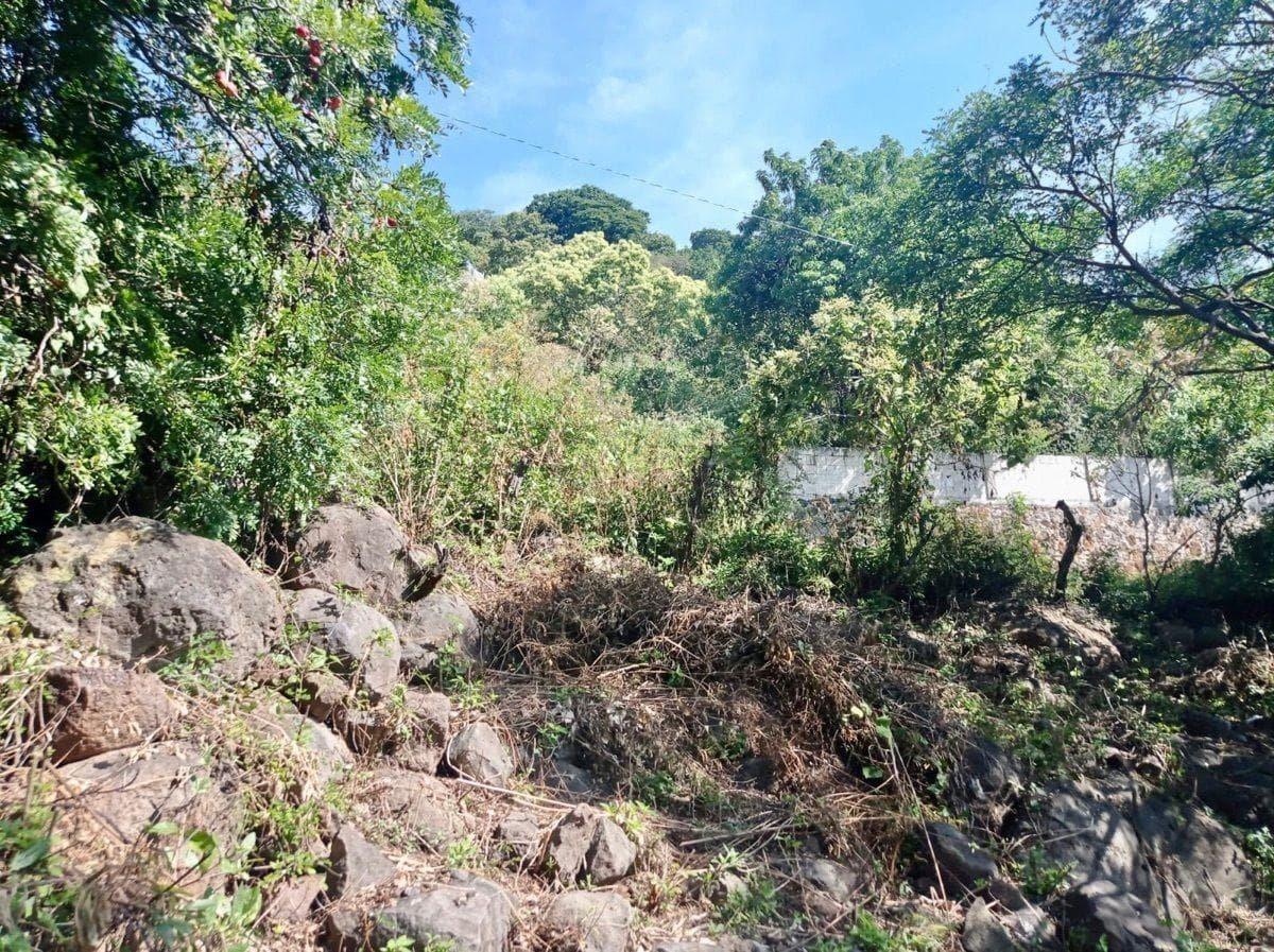 Land for Sale in Tepoztlán