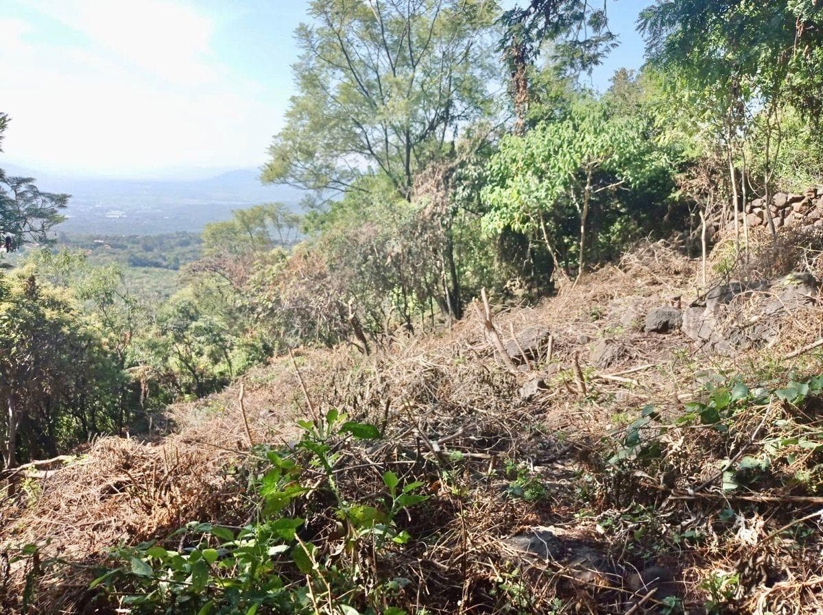 Land for Sale in Tepoztlán