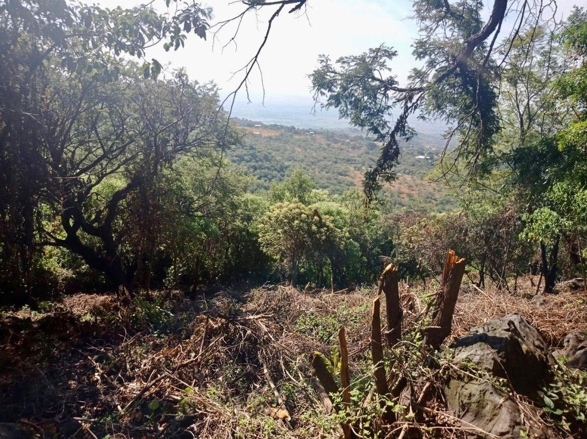 Land for Sale in Tepoztlán