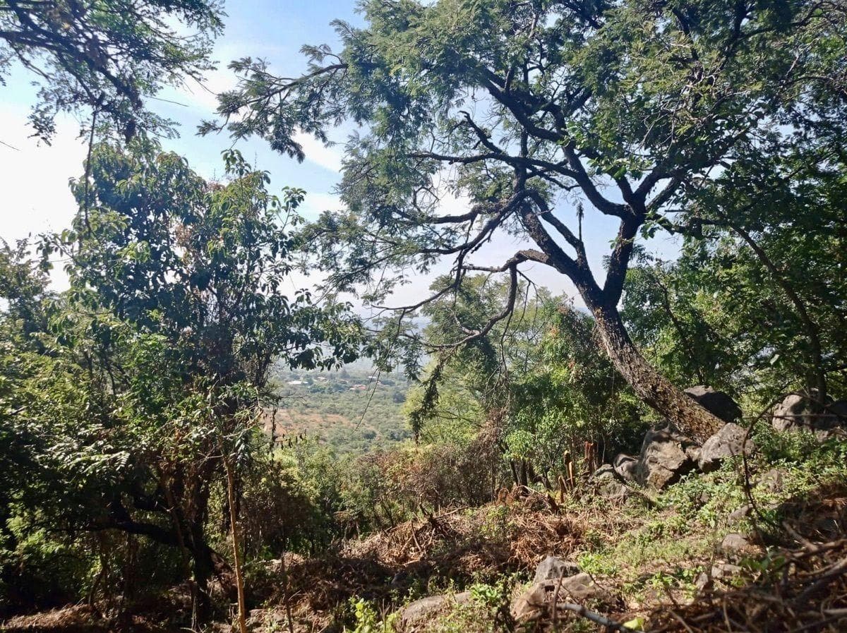 Land for Sale in Tepoztlán