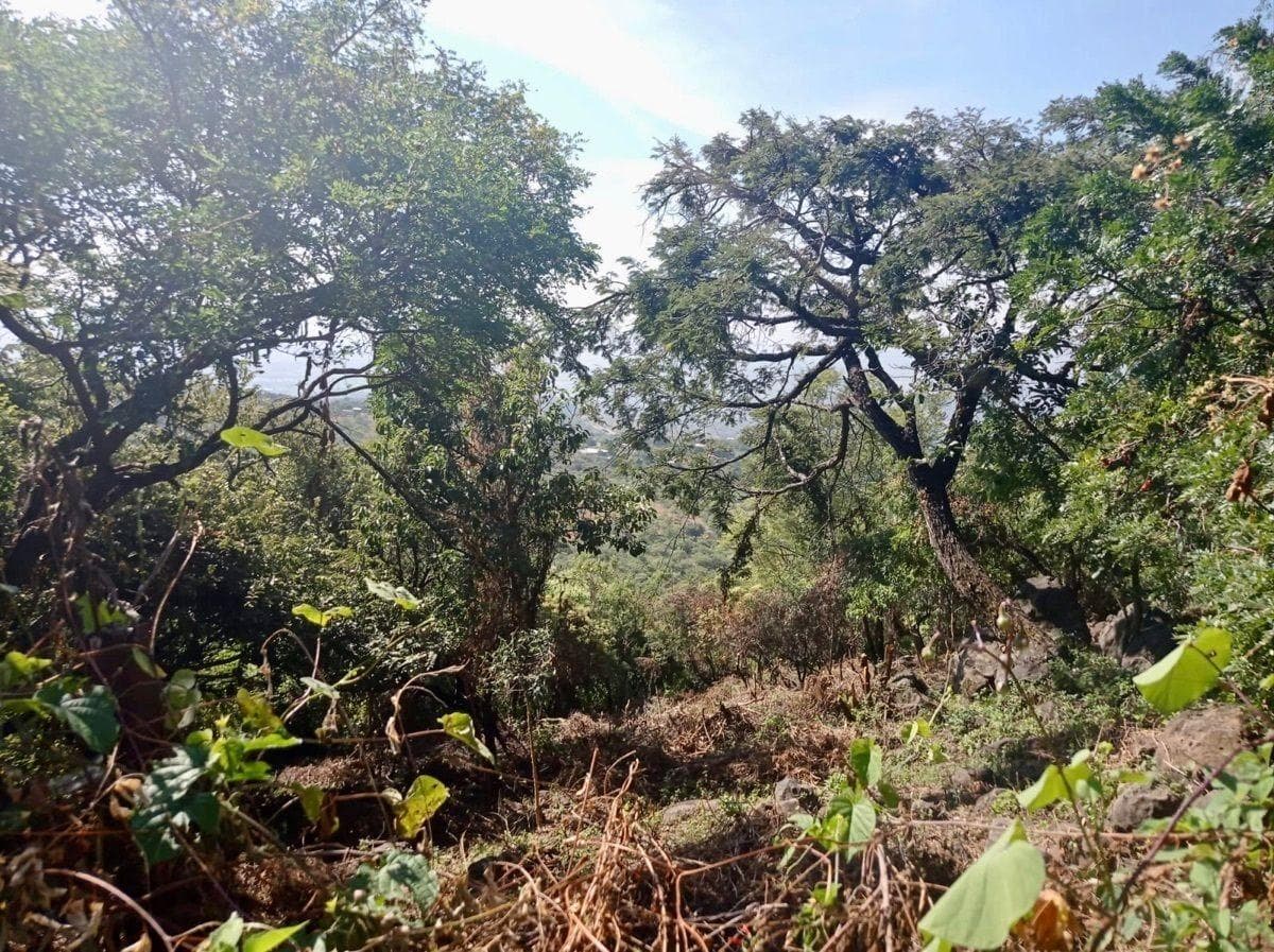 Land for Sale in Tepoztlán
