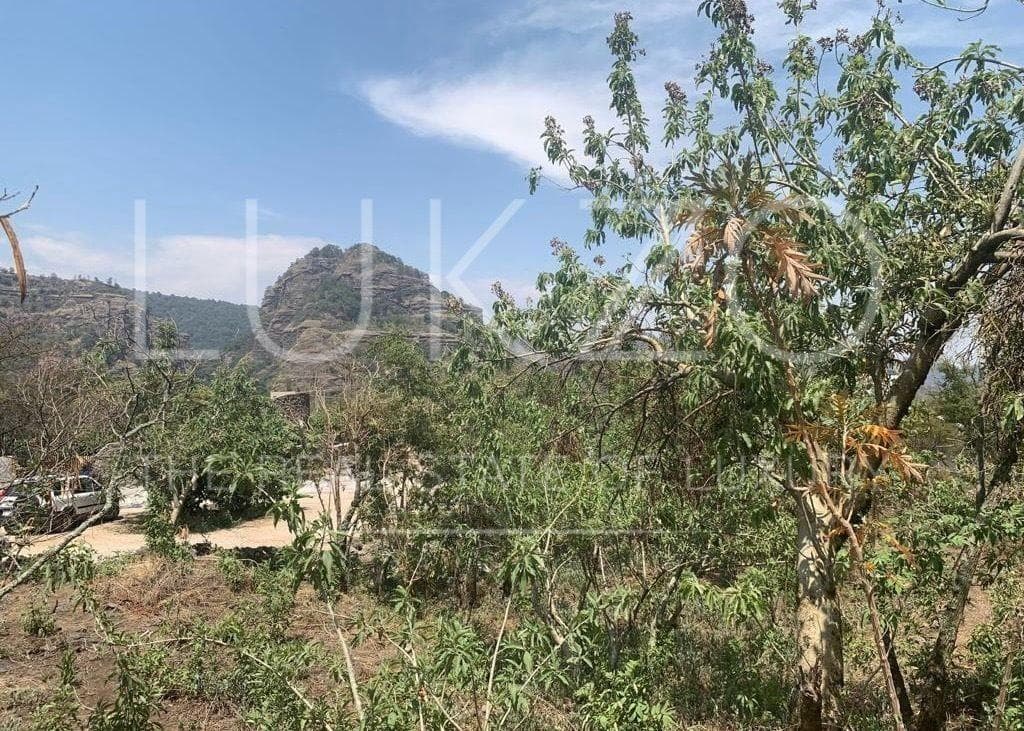 Land for Sale in Tepoztlán