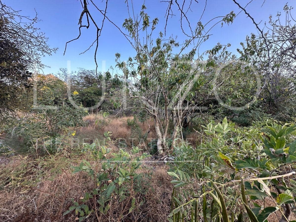 Land for Sale in Tepoztlan