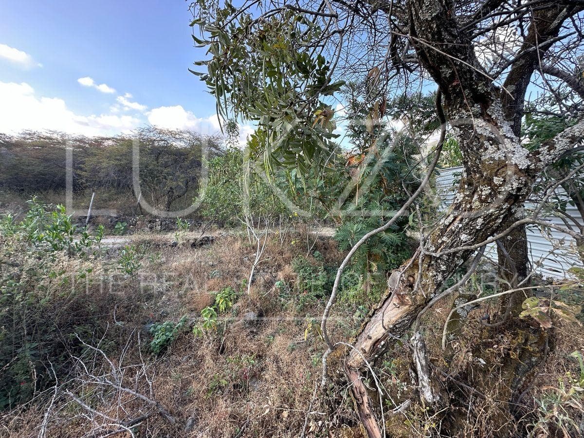 Land for Sale in Tepoztlan
