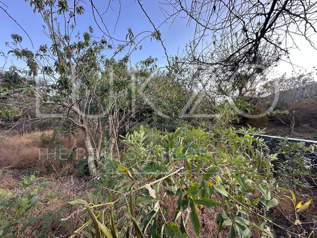 Land for Sale in Tepoztlan