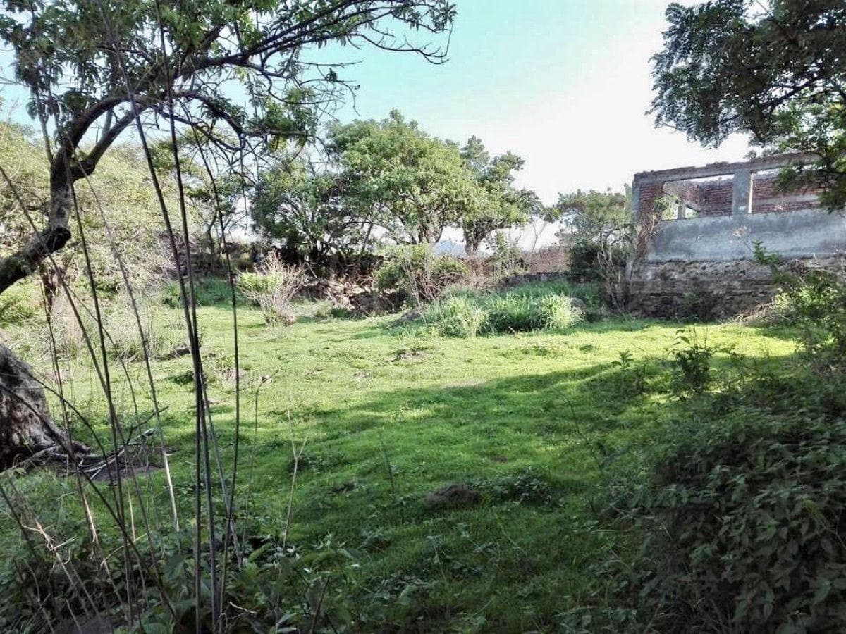 Land for Sale in Tepoztlán