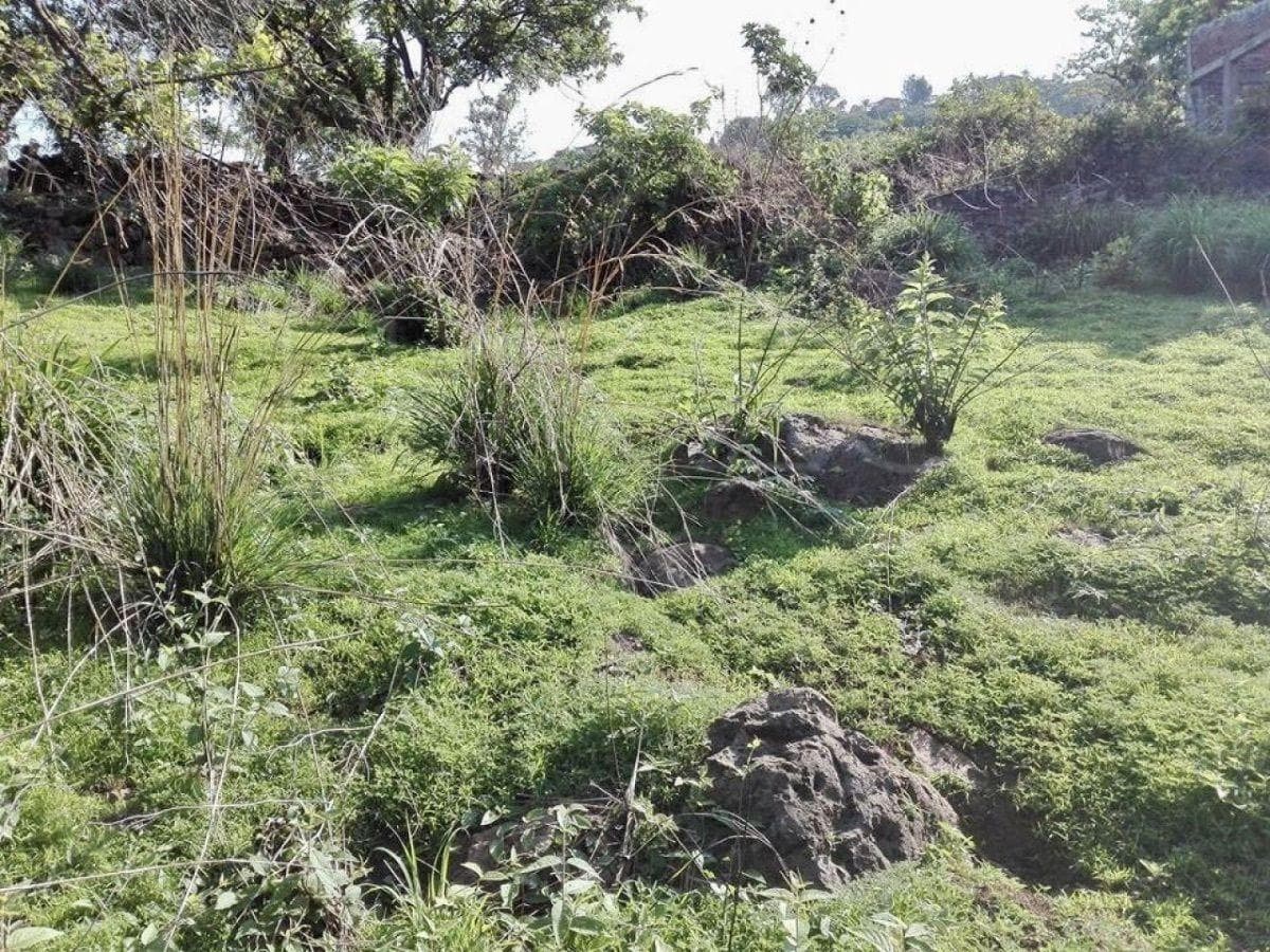 Land for Sale in Tepoztlán