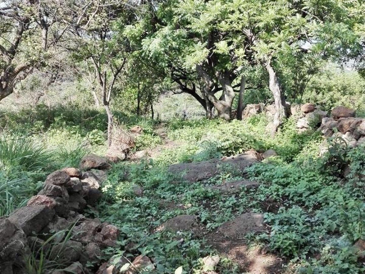 Land for Sale in Tepoztlán