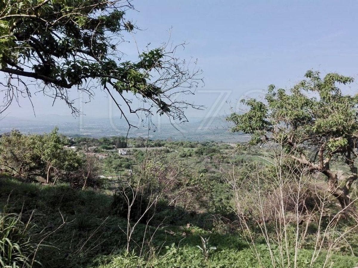 Land for Sale in Tepoztlán