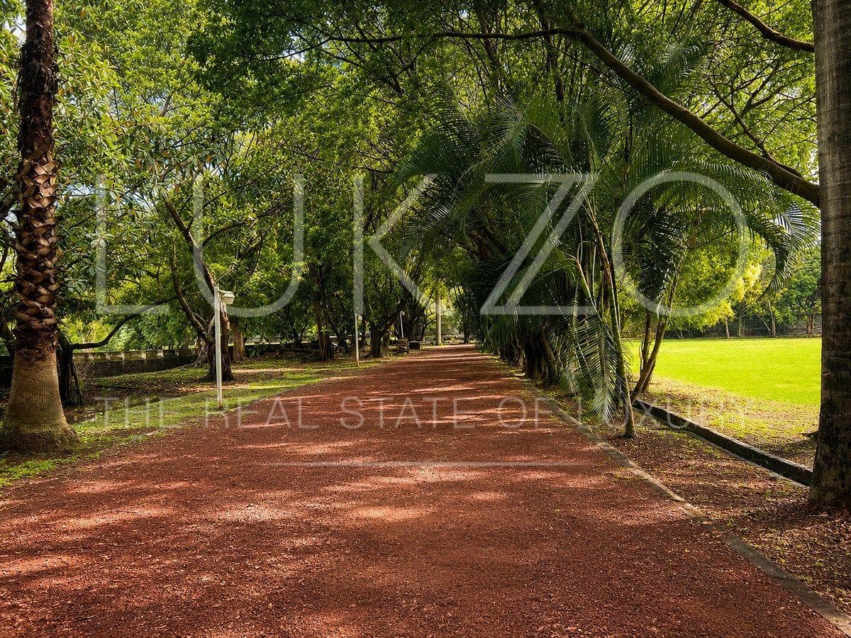 Land for Sale in Emiliano Zapata, Morelos