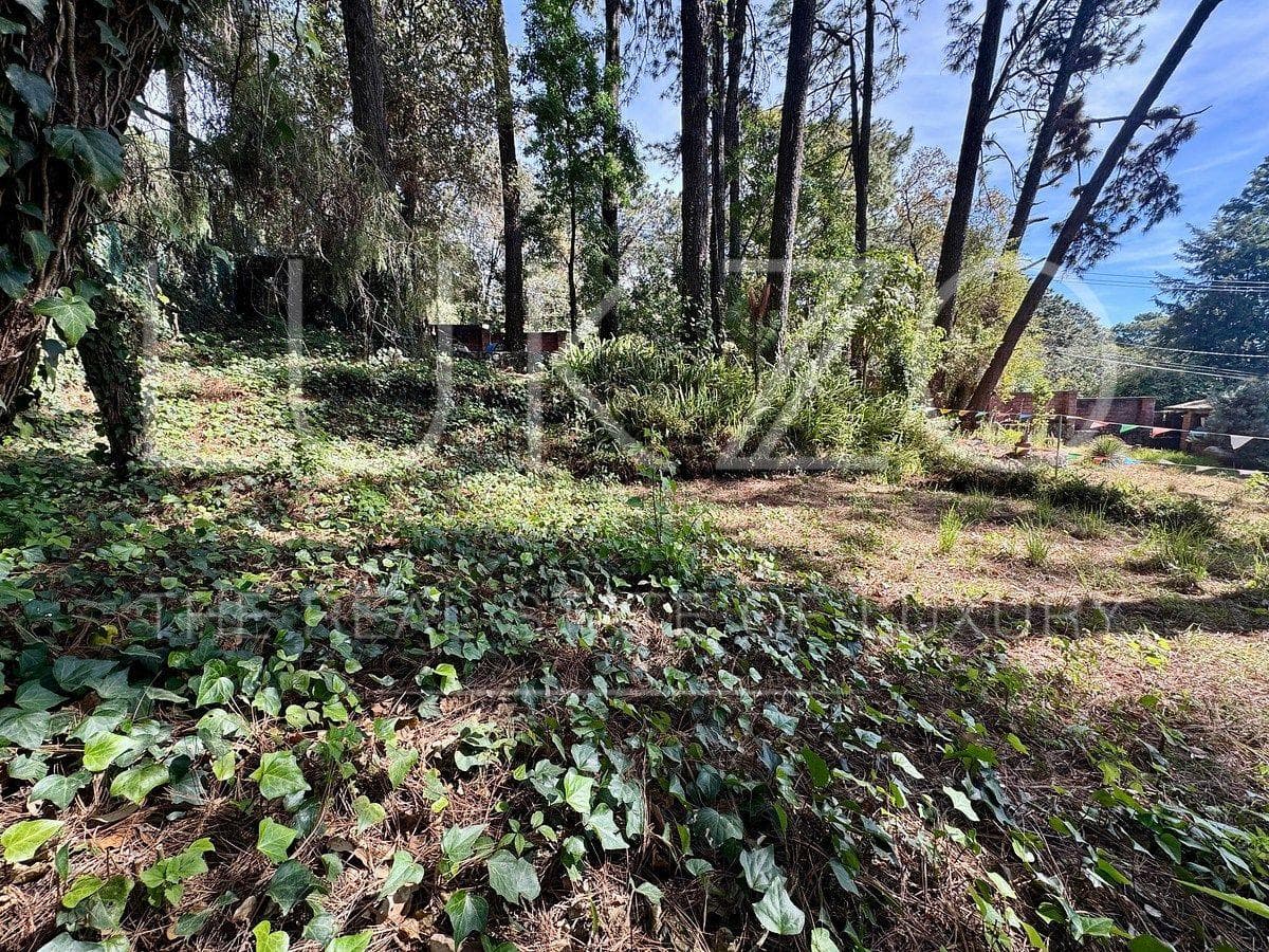 Land for Sale in Cuernavaca