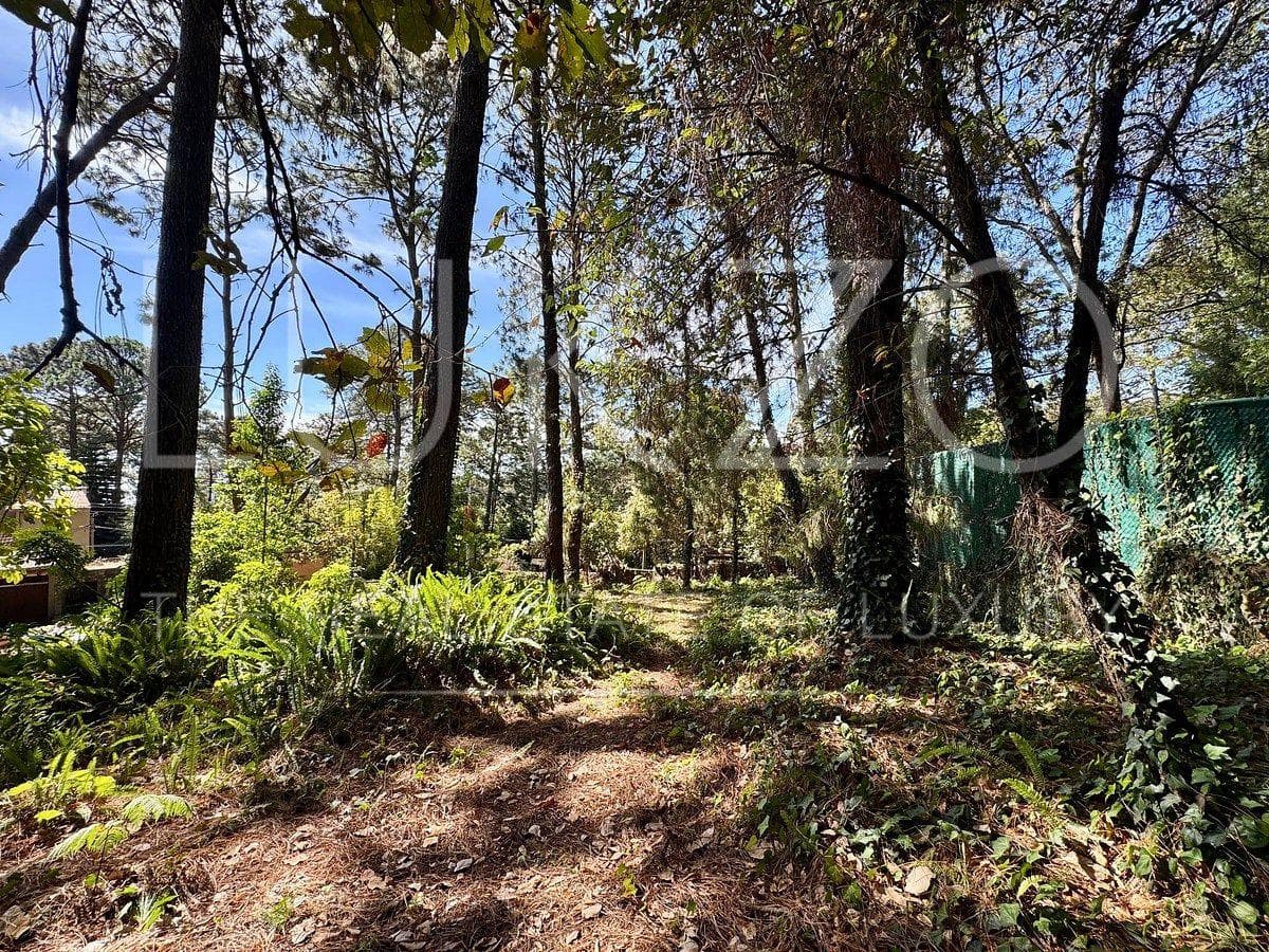 Land for Sale in Cuernavaca