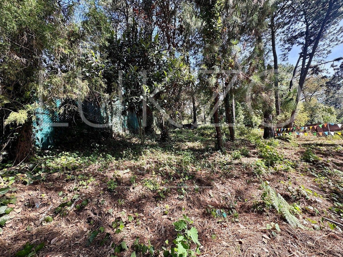 Land for Sale in Cuernavaca