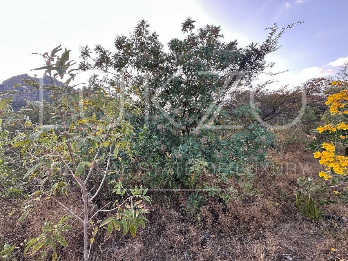 Land for Sale in Tepoztlán