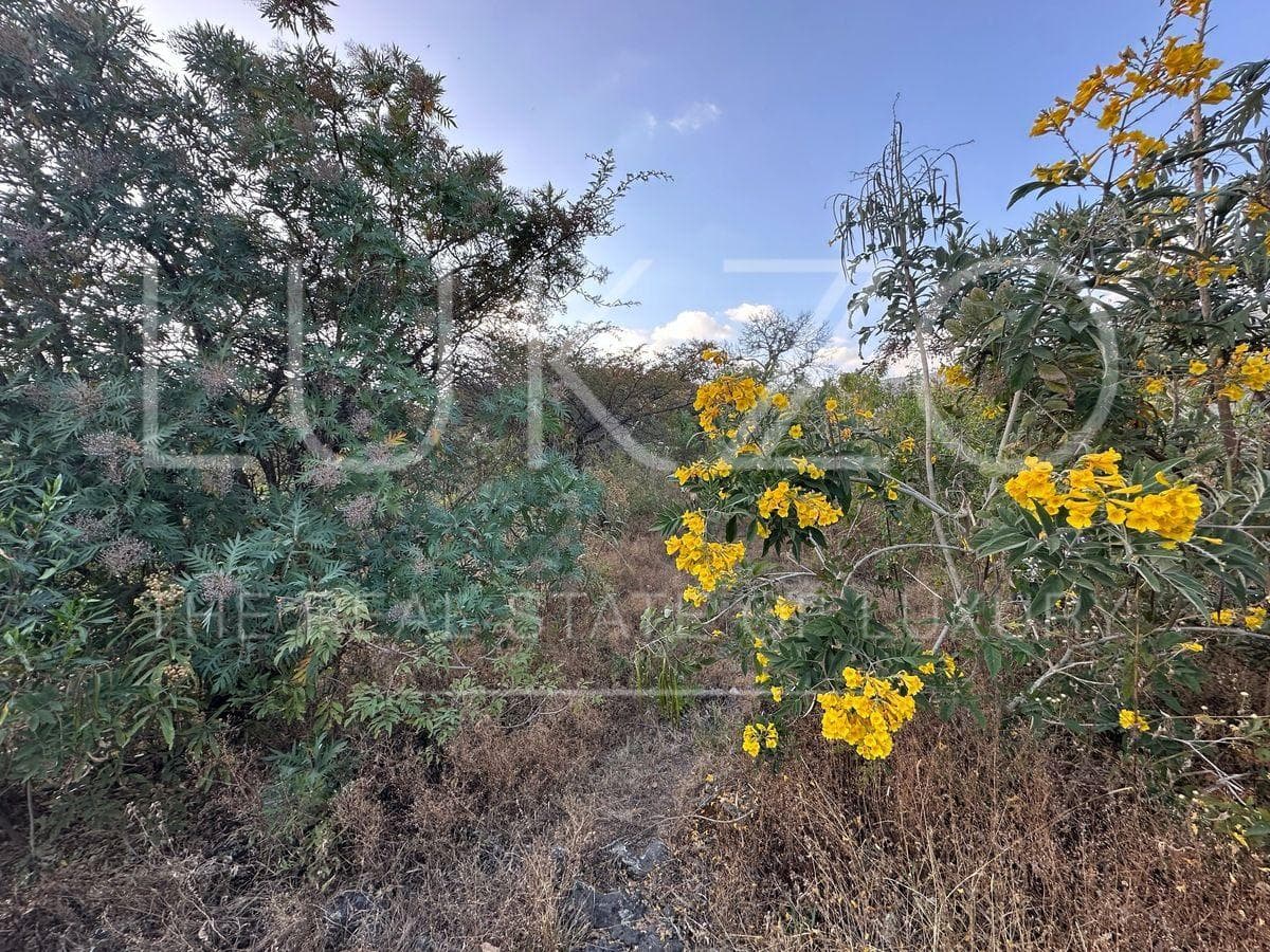 Land for Sale in Tepoztlán