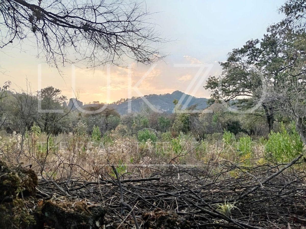 Land for Sale in Tepoztlan