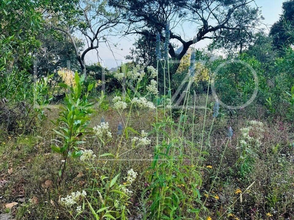 Land for Sale in Tepoztlan