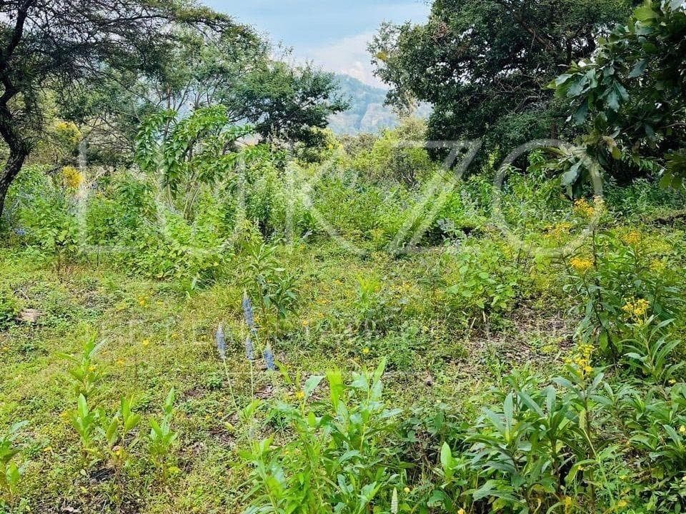 Land for Sale in Tepoztlan