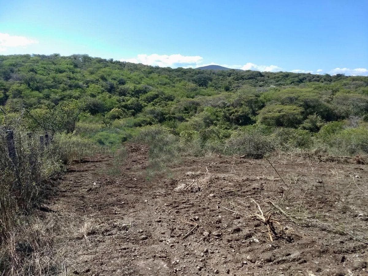 Flat lot for sale in Puente de Ixtla