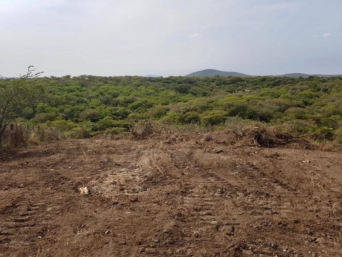 Flat lot for sale in Puente de Ixtla