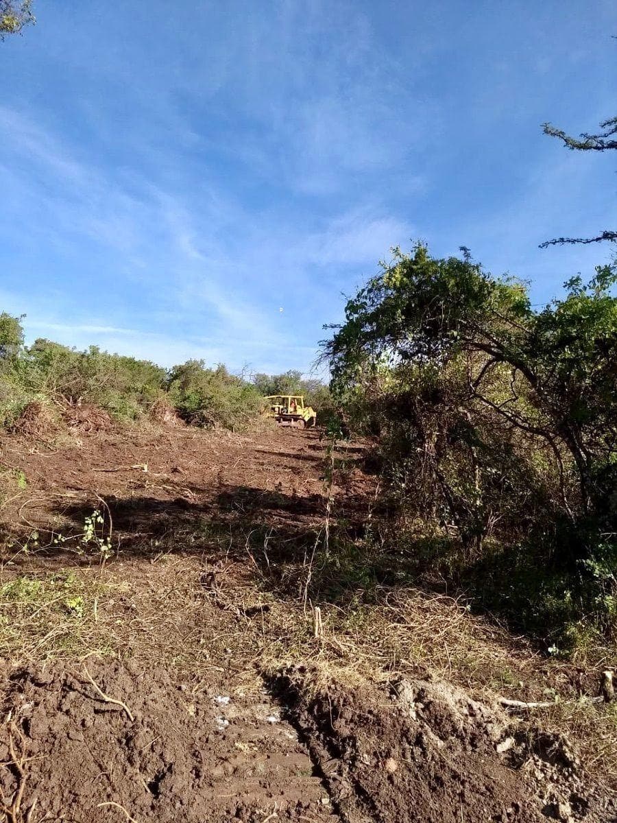 Flat lot for sale in Puente de Ixtla