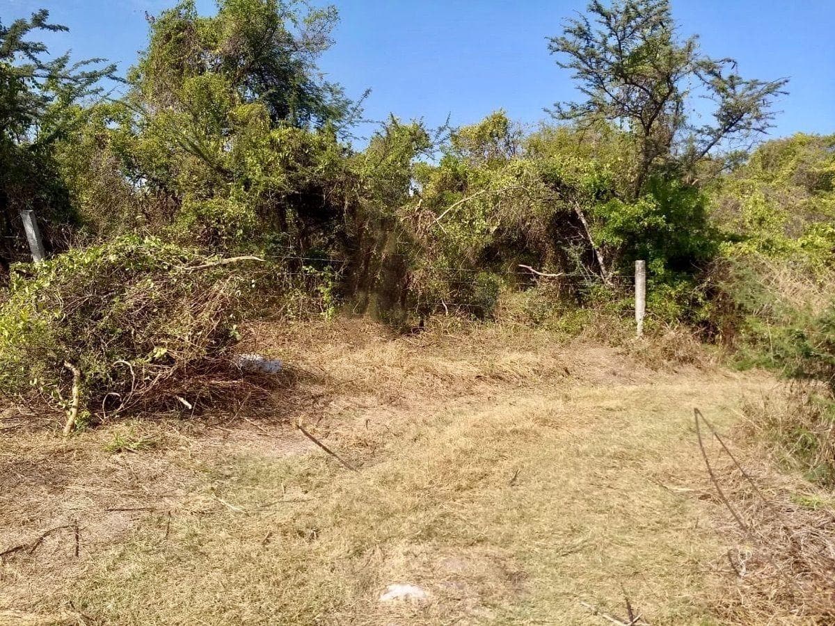 Flat lot for sale in Puente de Ixtla