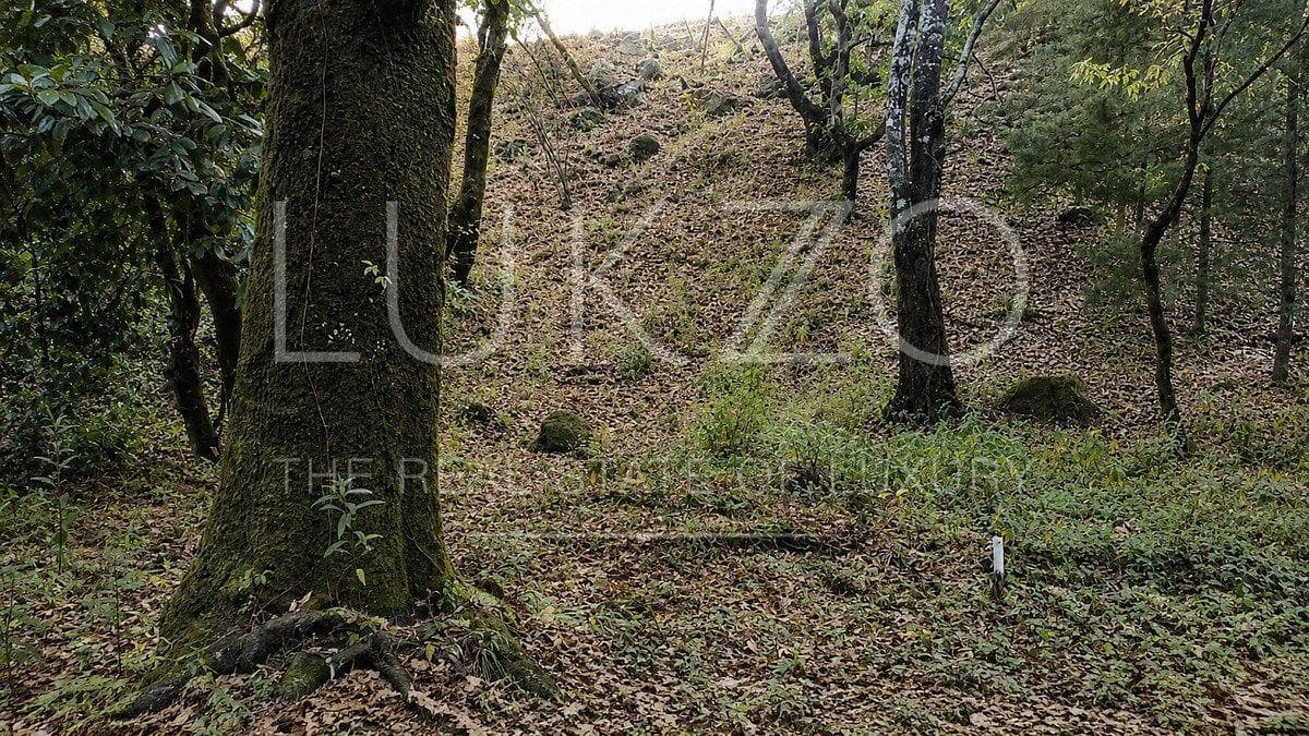 Land for Sale in Los Ocotes, Tepoztlán