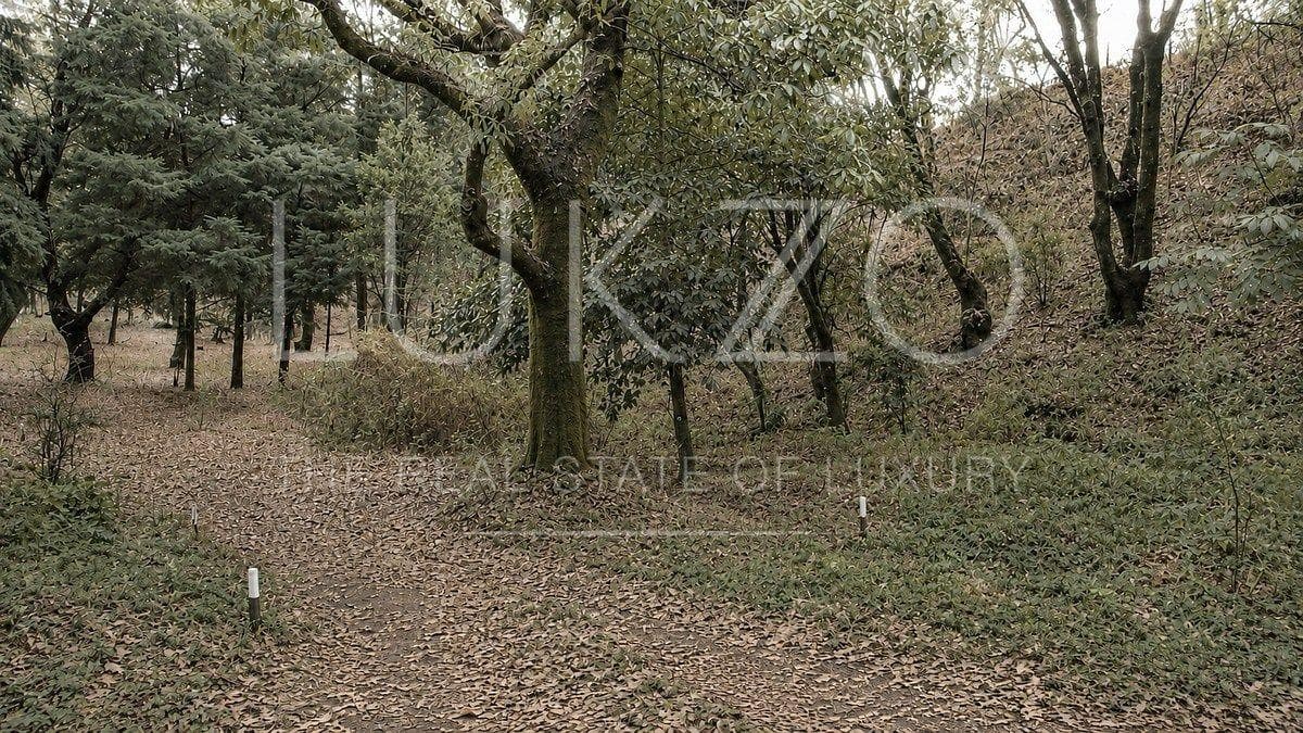 Land for Sale in Los Ocotes, Tepoztlán