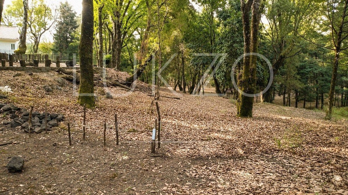 Land for Sale in Los Ocotes, Tepoztlán