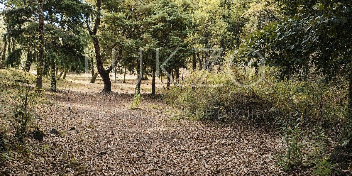 Land for Sale in Los Ocotes, Tepoztlán