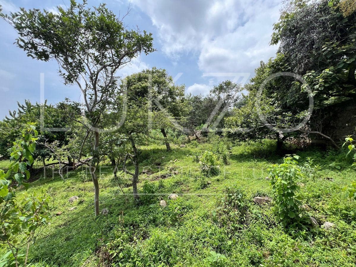Land for Sale in Tepoztlan