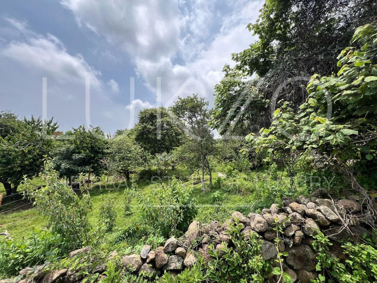 Land for Sale in Tepoztlan