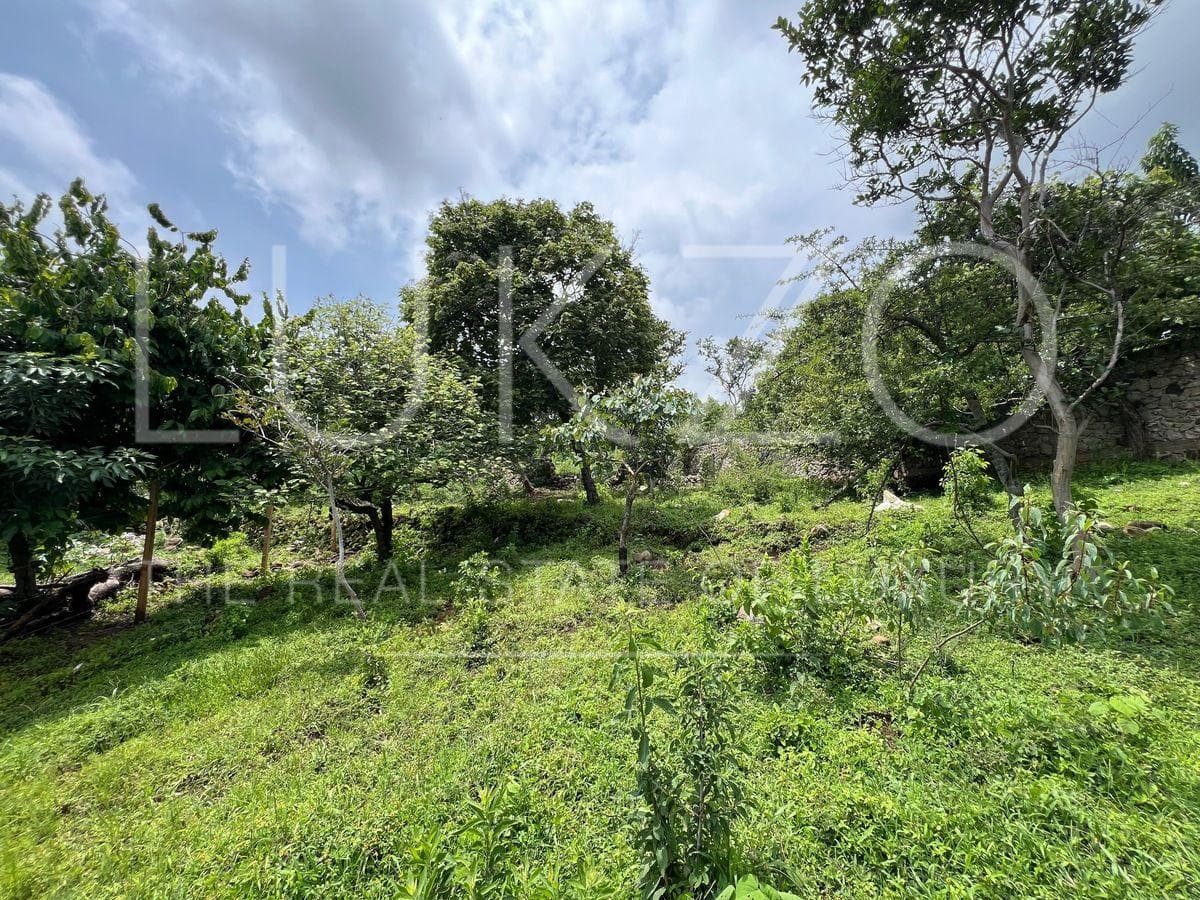 Land for Sale in Tepoztlan