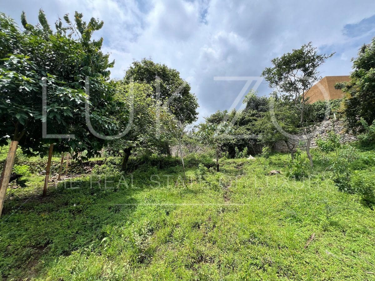 Land for Sale in Tepoztlan