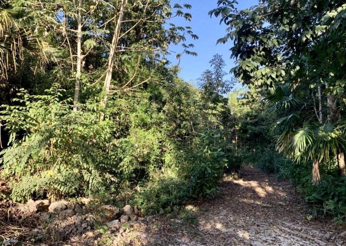 Land for Sale in Bacalar