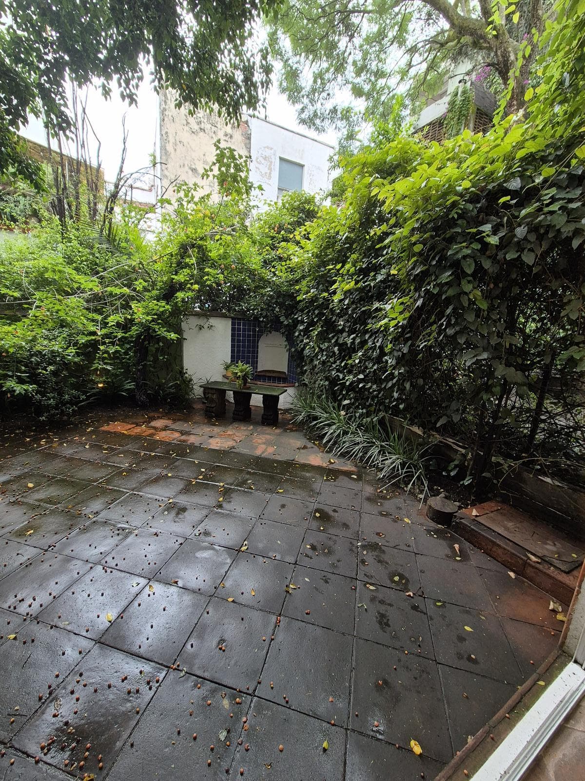 House in Lomas de Chapultepec