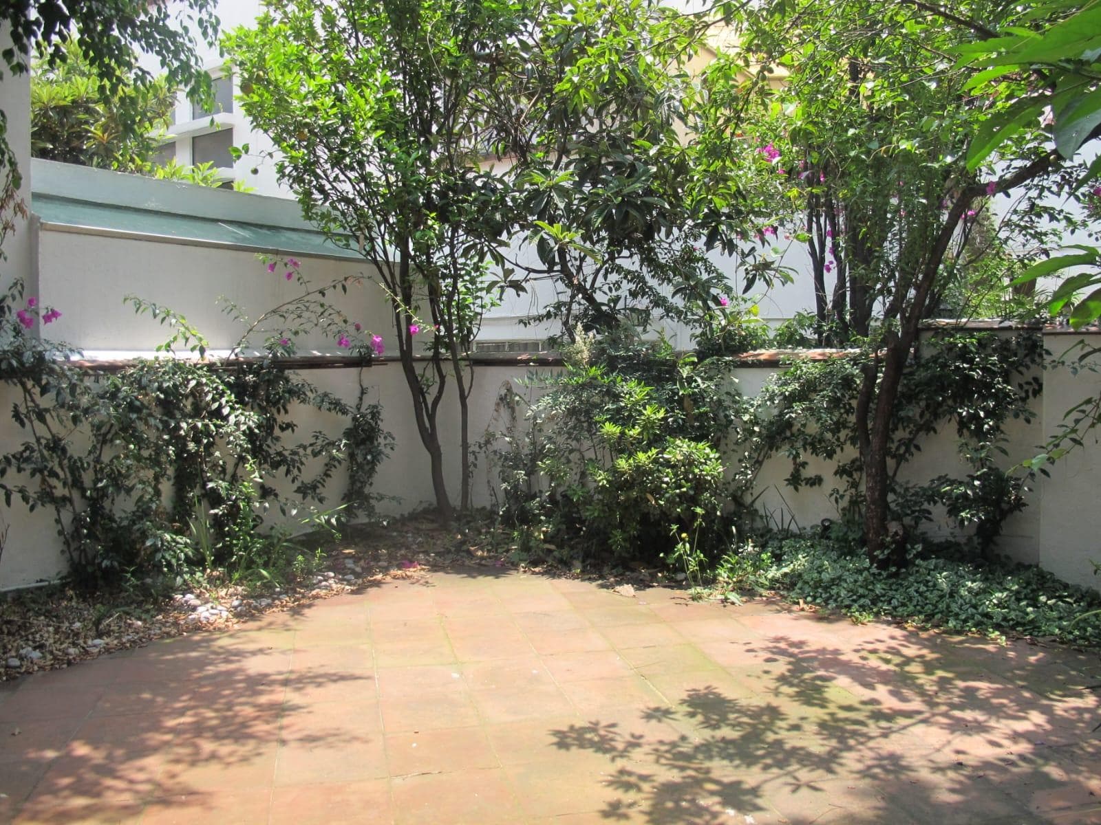House in Lomas de Chapultepec