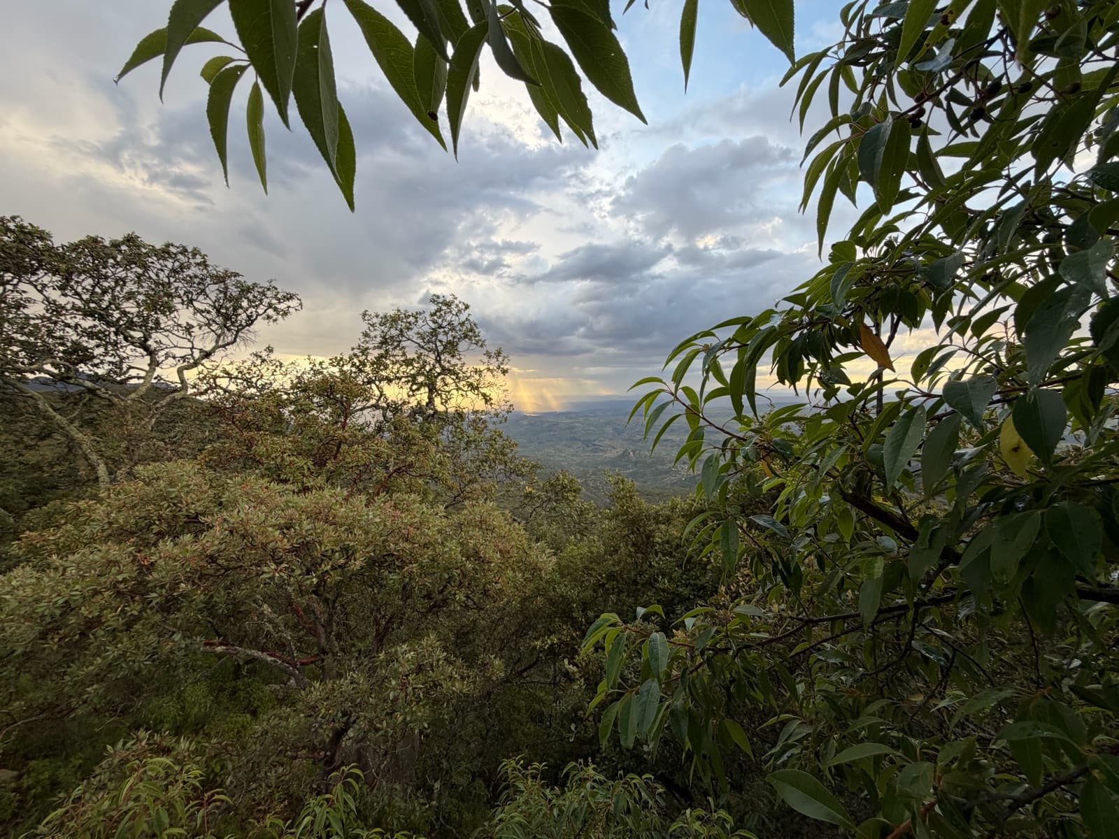 Land in Rancho or La Congoja Settlement