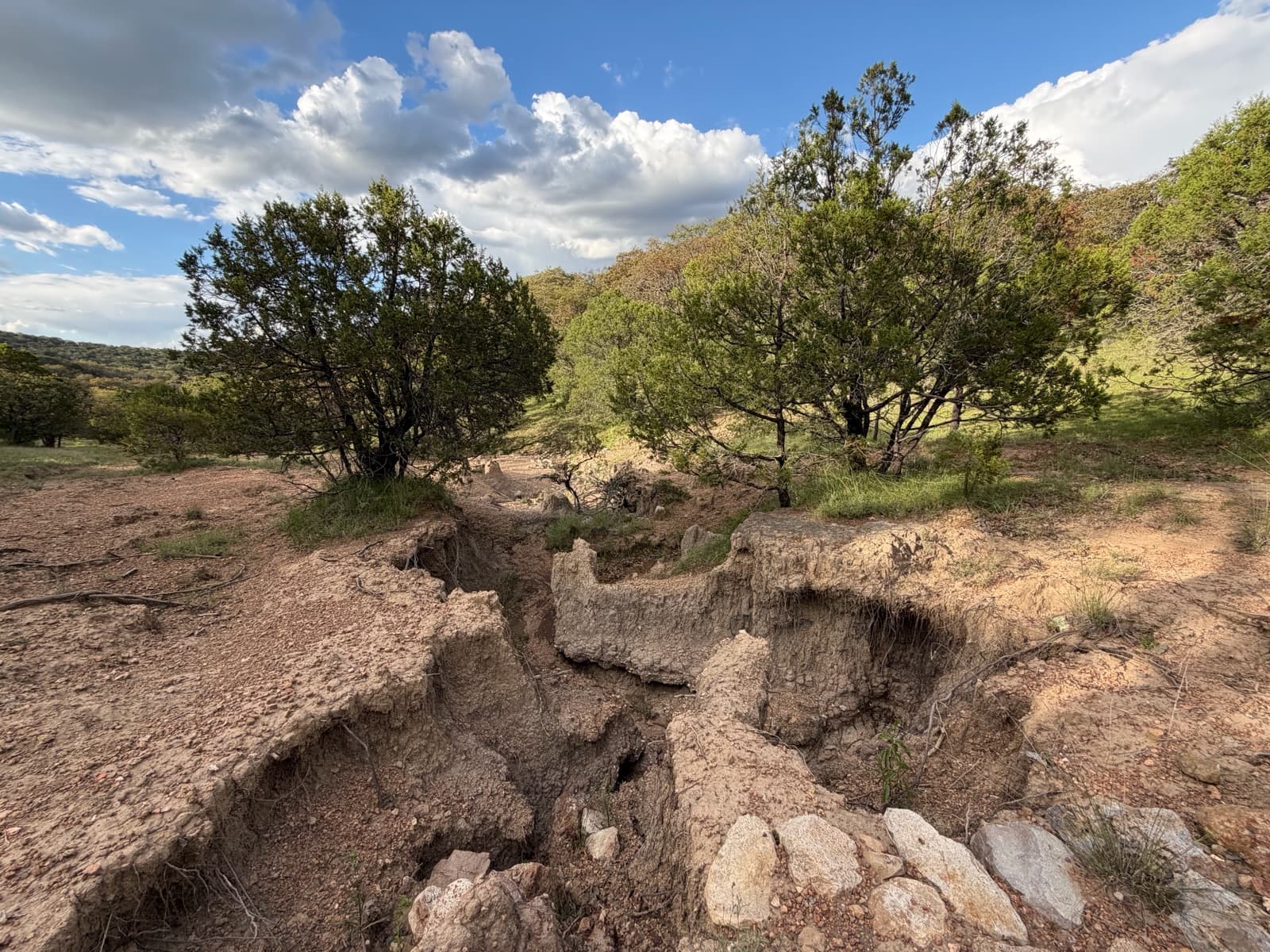 Land in Rancho or La Congoja Settlement