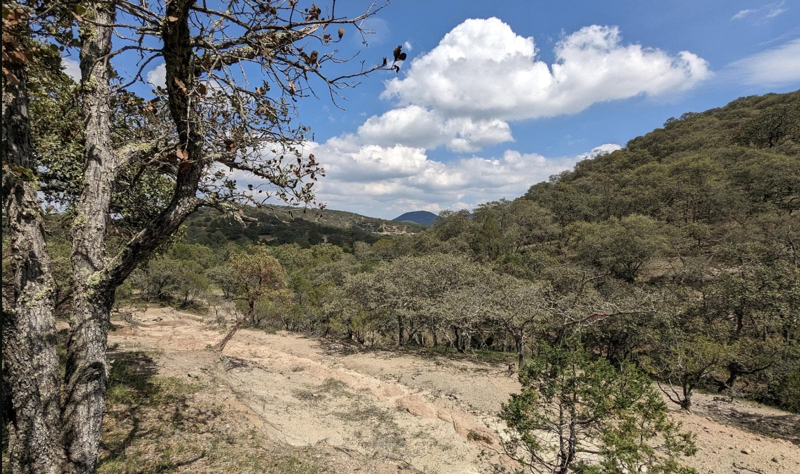 Land in Rancho or La Congoja Settlement