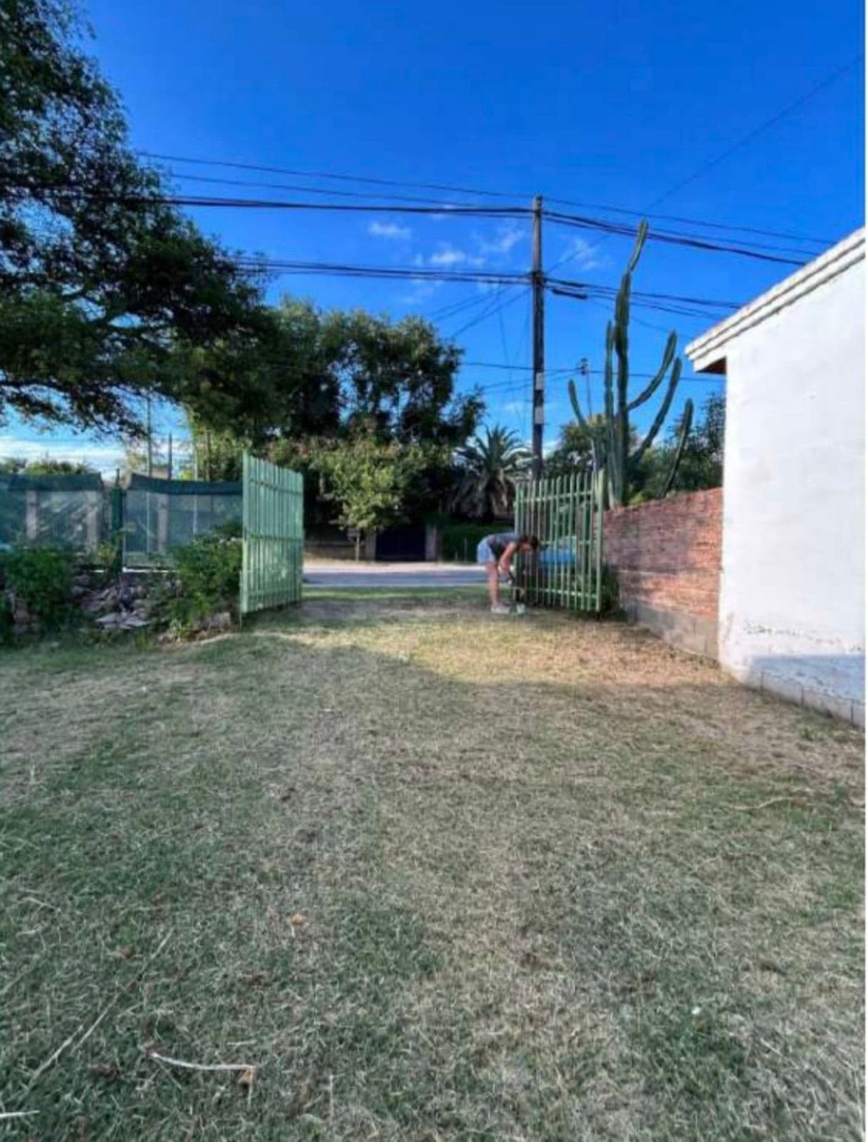 Land - The Mendiolaza Clearing