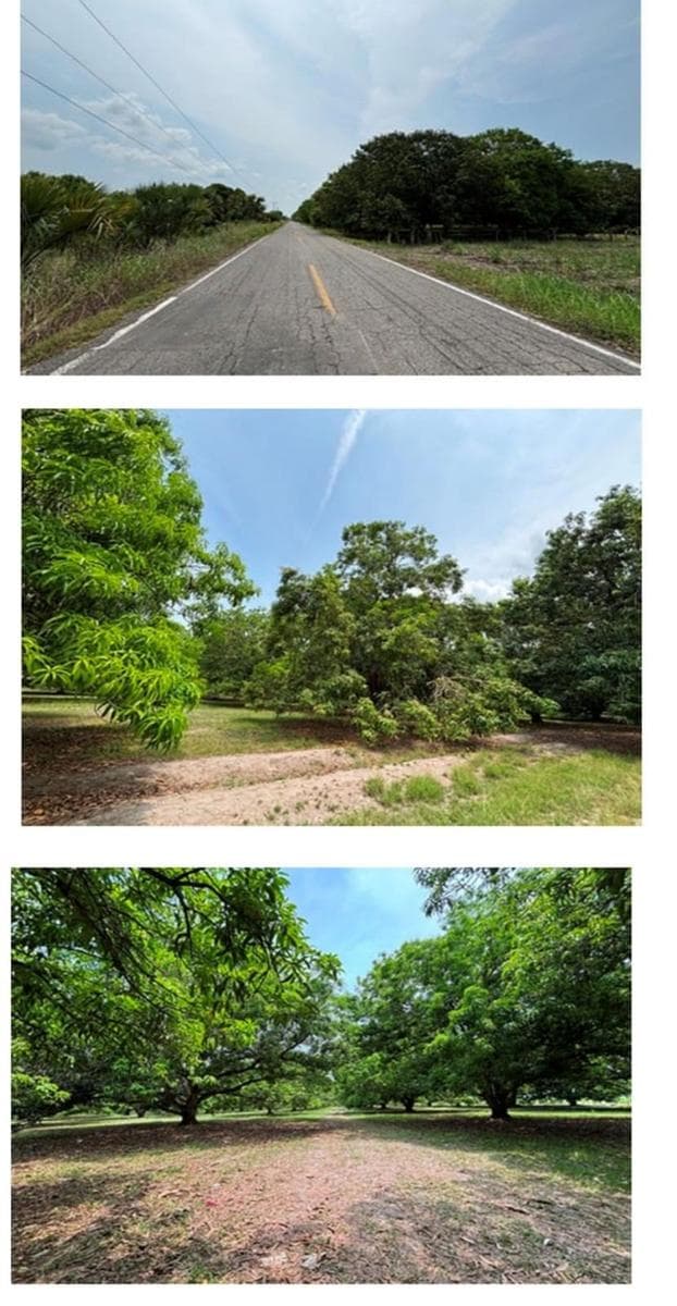 Land in the El Corralito Ranch or Ranch Community