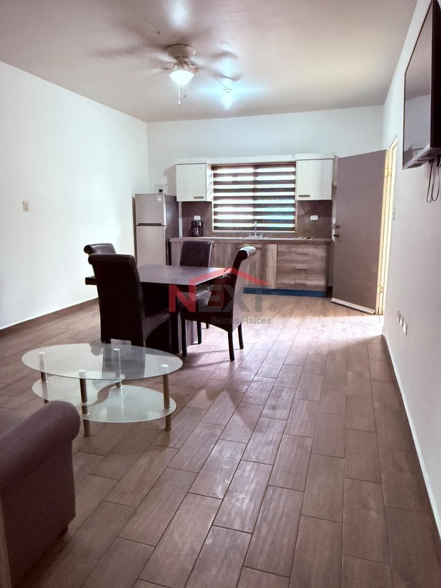 APARTMENT FOR RENT IN COL. SAN BENITO