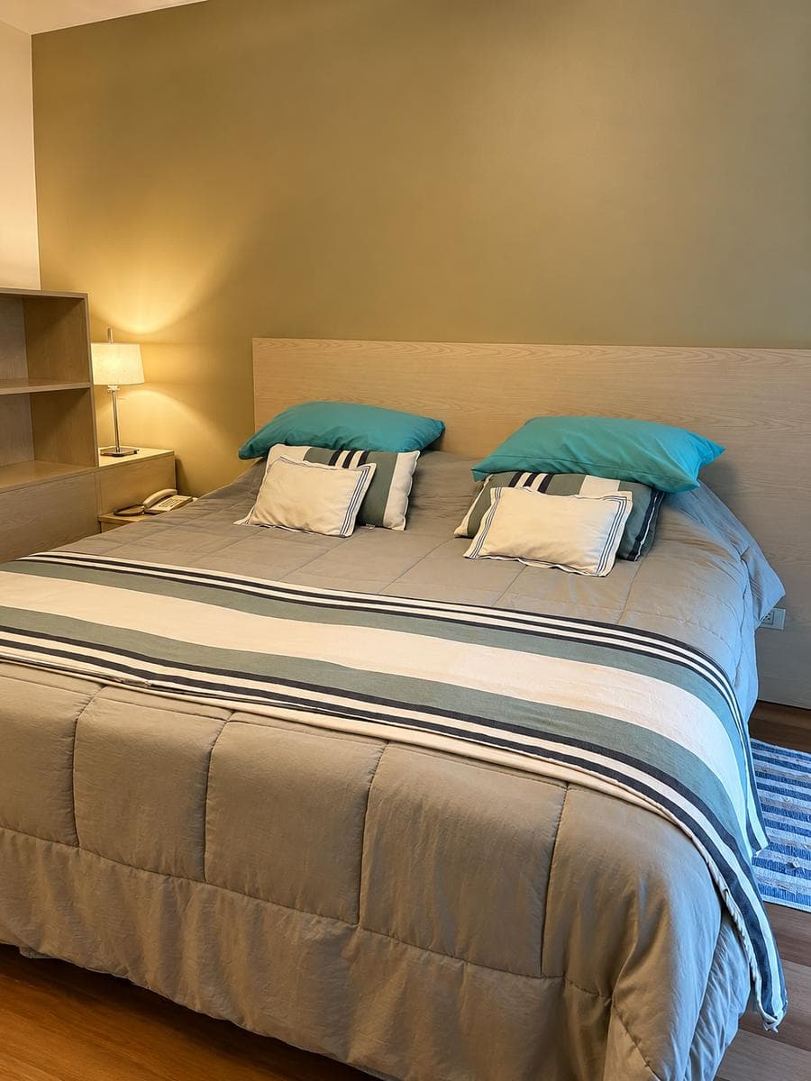 Apartment in Recoleta