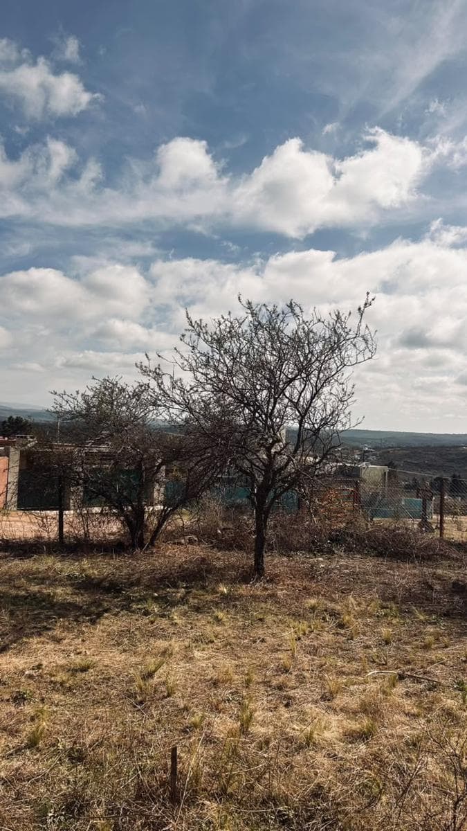 Land in Las Mojarras