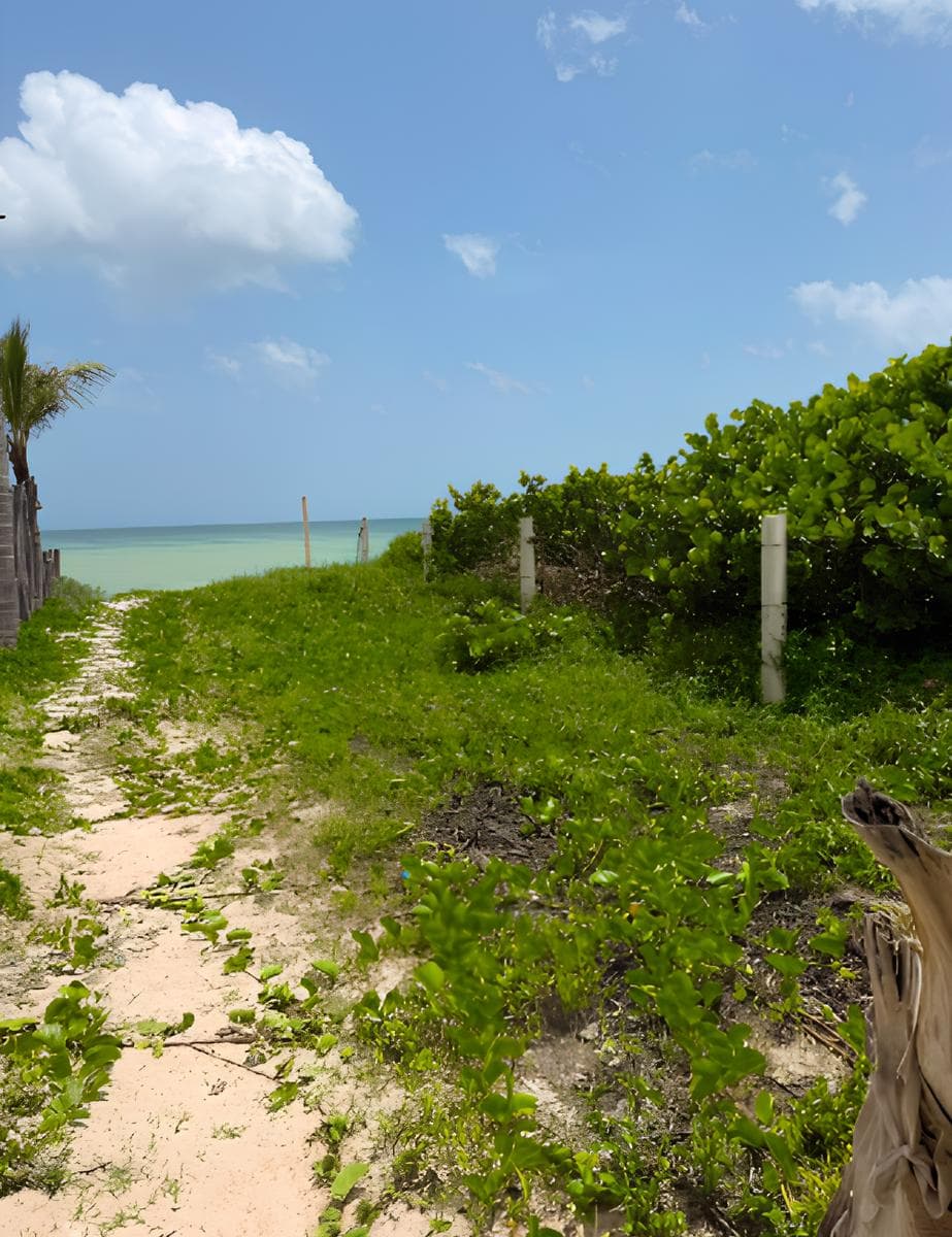 BEACHFRONT LAND FOR SALE IN SAN BENITO, YUCATAN