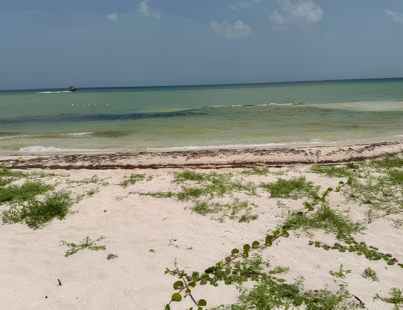 BEACHFRONT LAND FOR SALE IN SAN BENITO, YUCATAN